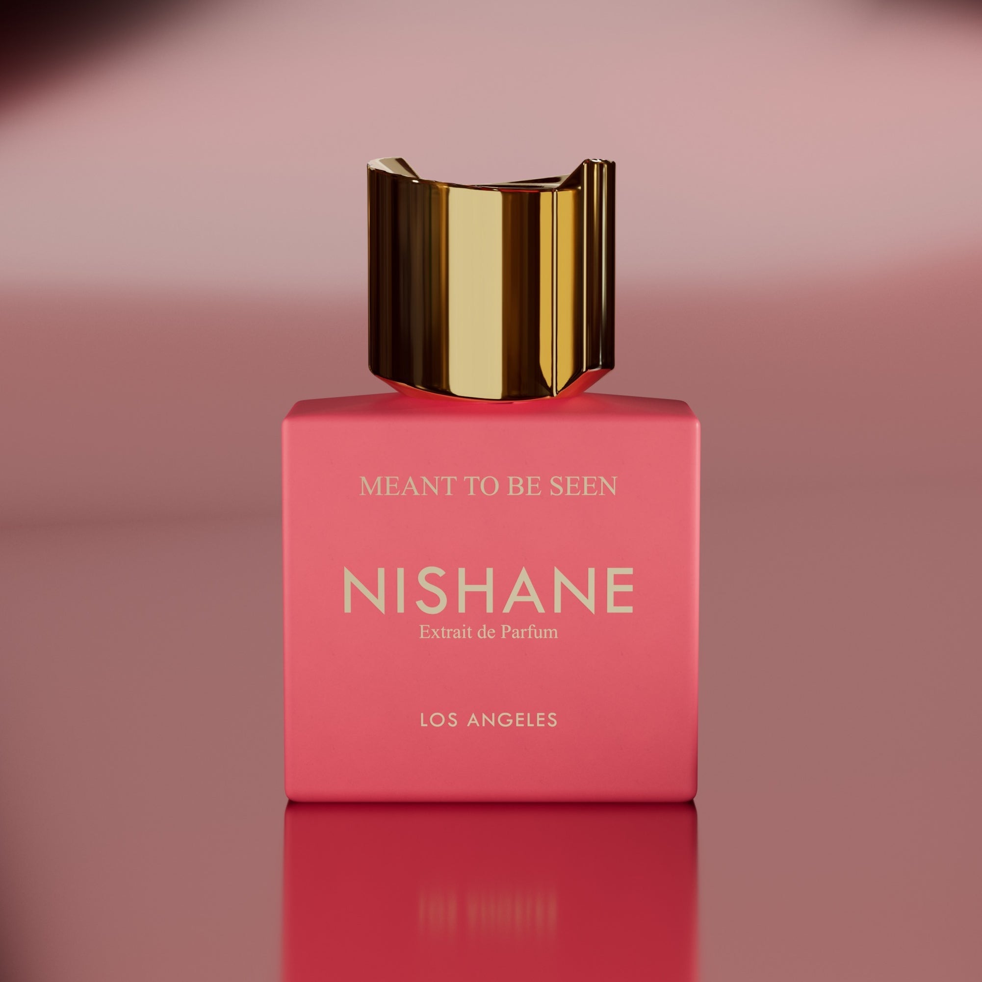 Meant to Be Seen – Nishane | Iris Floral Woody | Retail