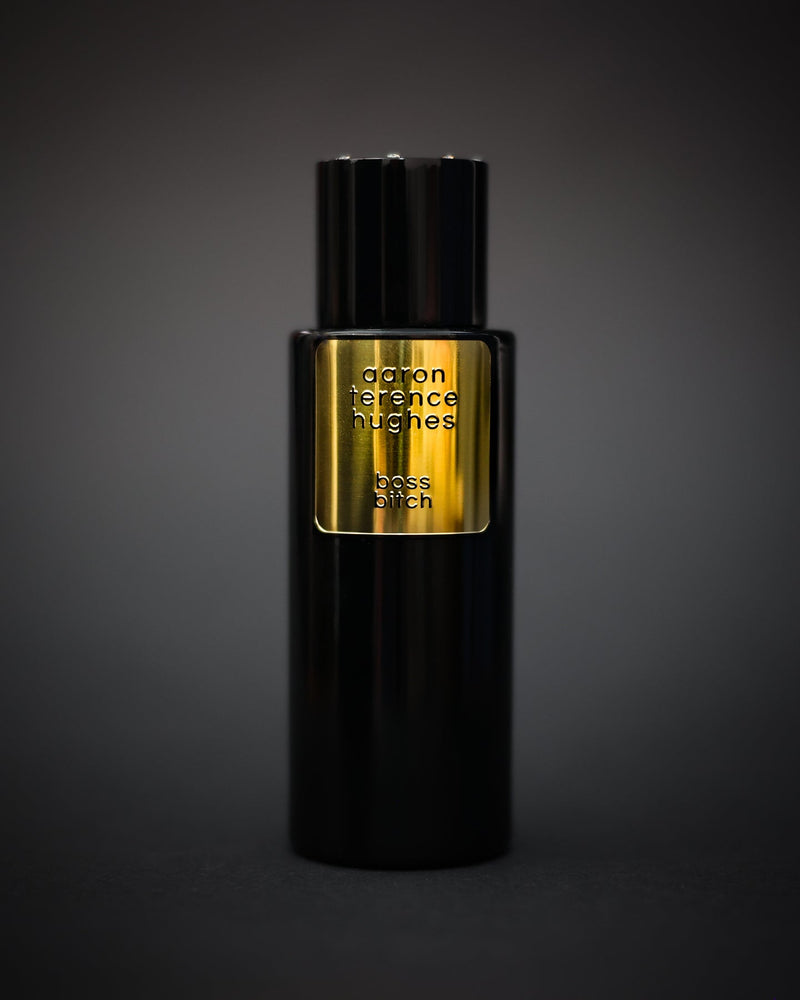 Aaron Terence Hughes Boss Bitch (Sample)