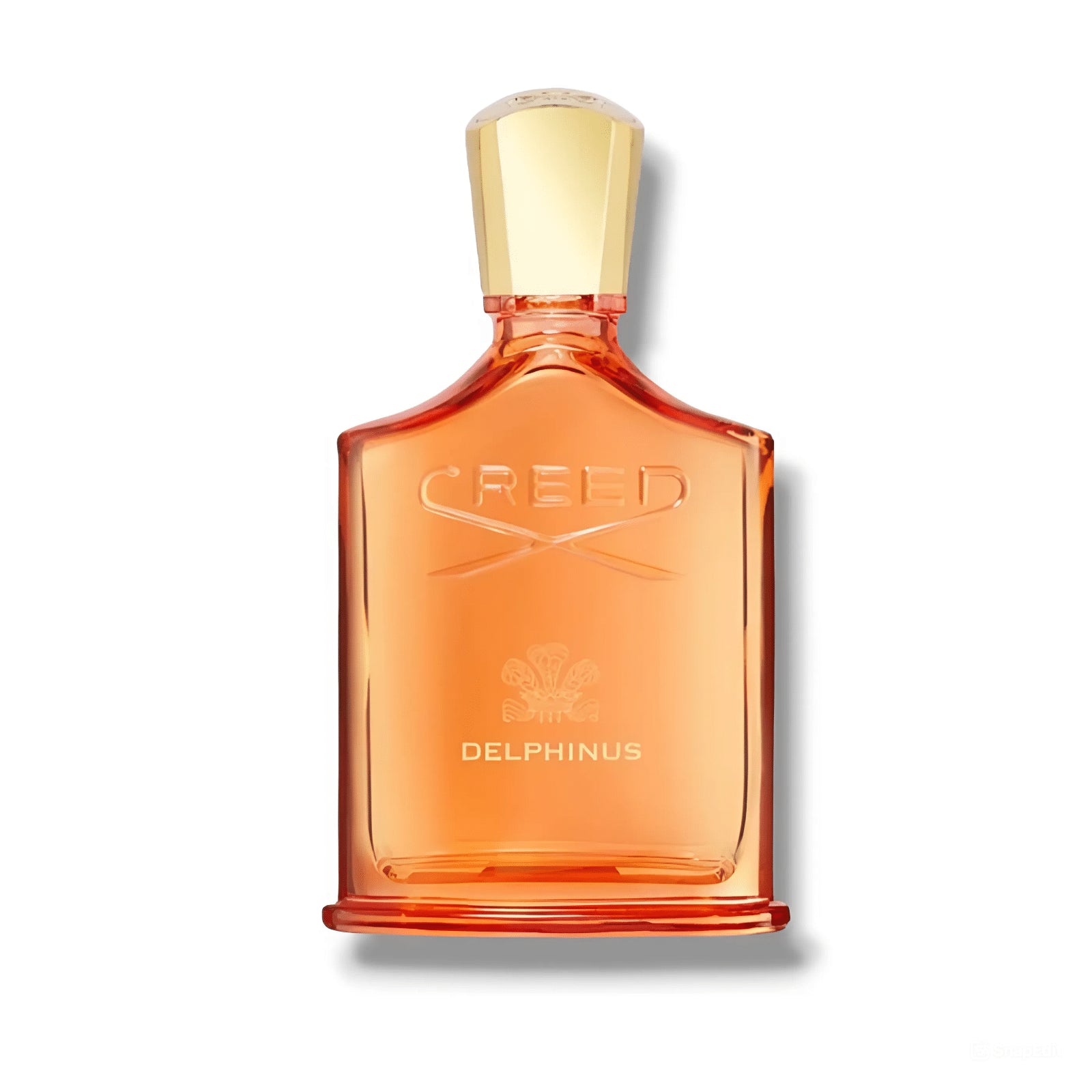 Delphinus | Woody Amber | Tester