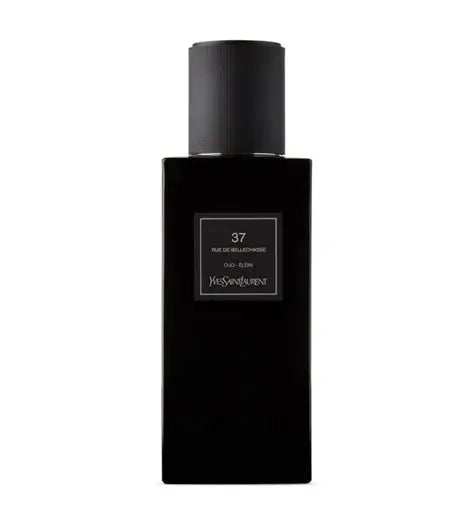 YSL 37 Rue de Bellechasse (Sample)