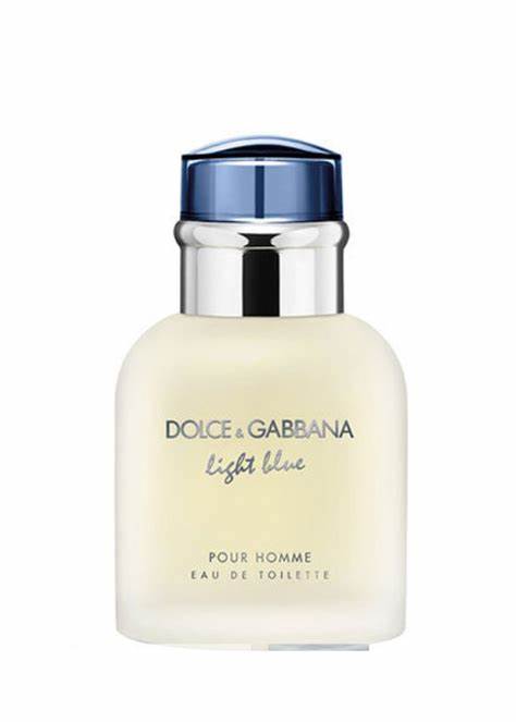 Dolce & Gabbana Light Blue EDT Pour Homme 2025 (100 mL Retail)