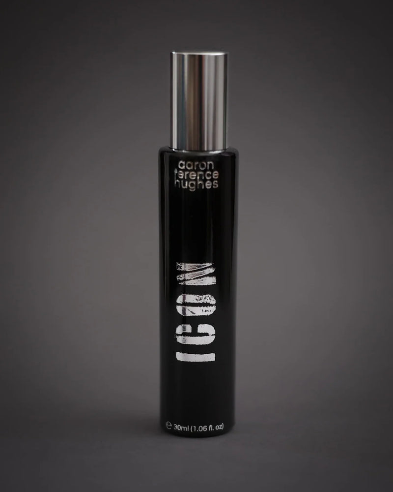 Aaron Terence Hughes Icon