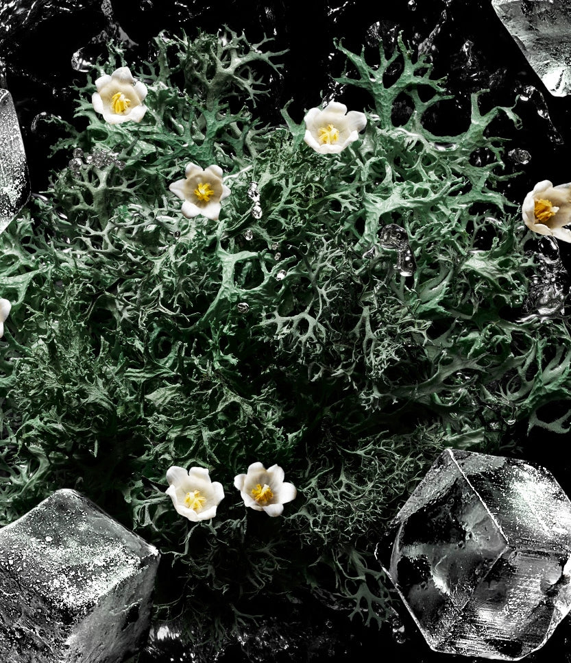 Kilian Vodka on the Rocks oakmoss, florals and ice fragrance imagery